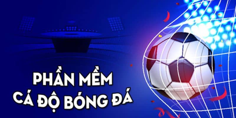 Gemwin - Web Cá Cược Bóng Đá Siêu Hot, Đặt Cược Thử Ngay! 1 Web cá cược bóng đá là địa điểm như thế nào?